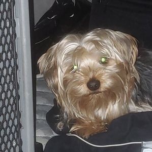 Meet your Posher, Roman